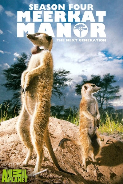 Meerkat Manor - Season 4