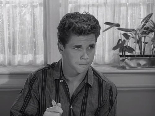 Wally Cleaver