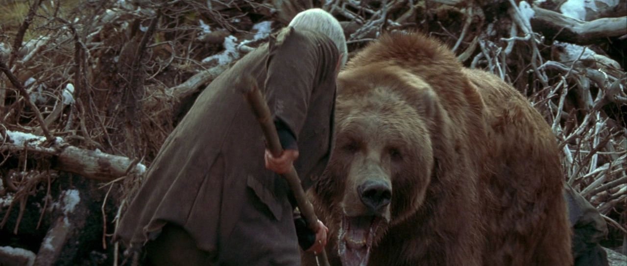 Bart the Bear