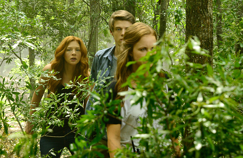 Rachelle Lefevre