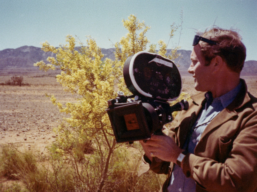 Nicolas Roeg
