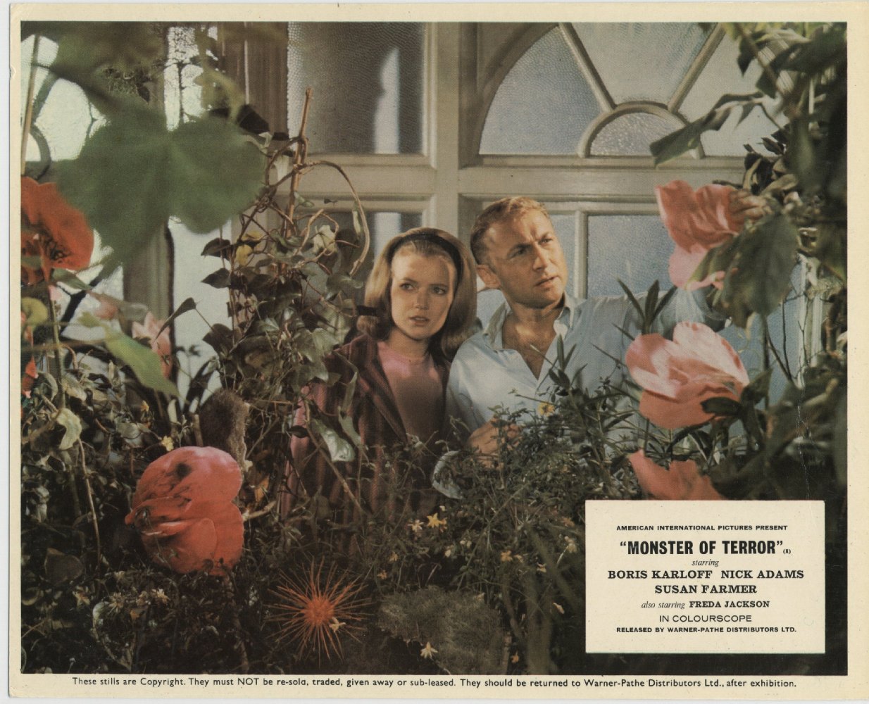 Suzan Farmer