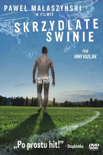 Flying Pigs (Skrzydlate swinie)