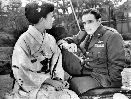 Miiko Taka