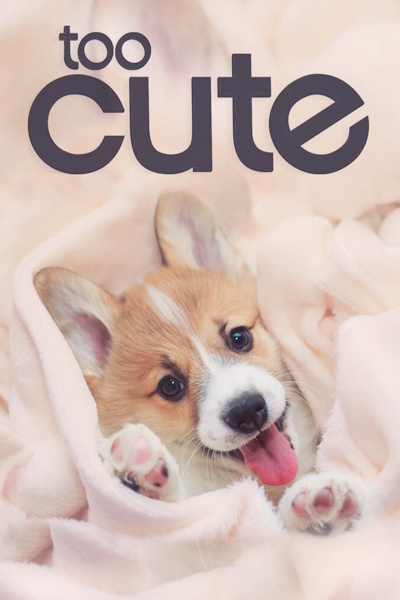 Too Cute - Season 5