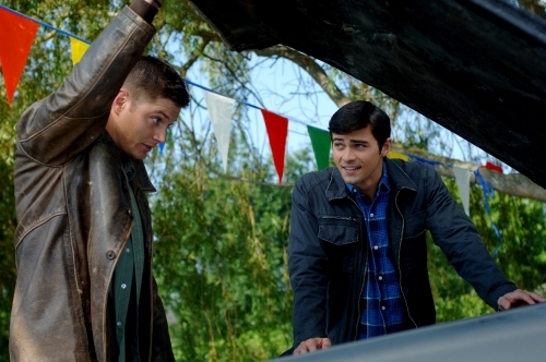 Matt Cohen