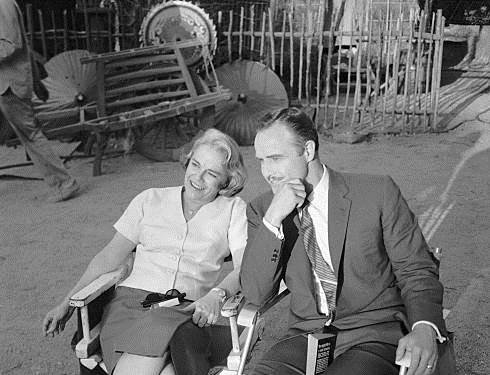 Jocelyn Brando