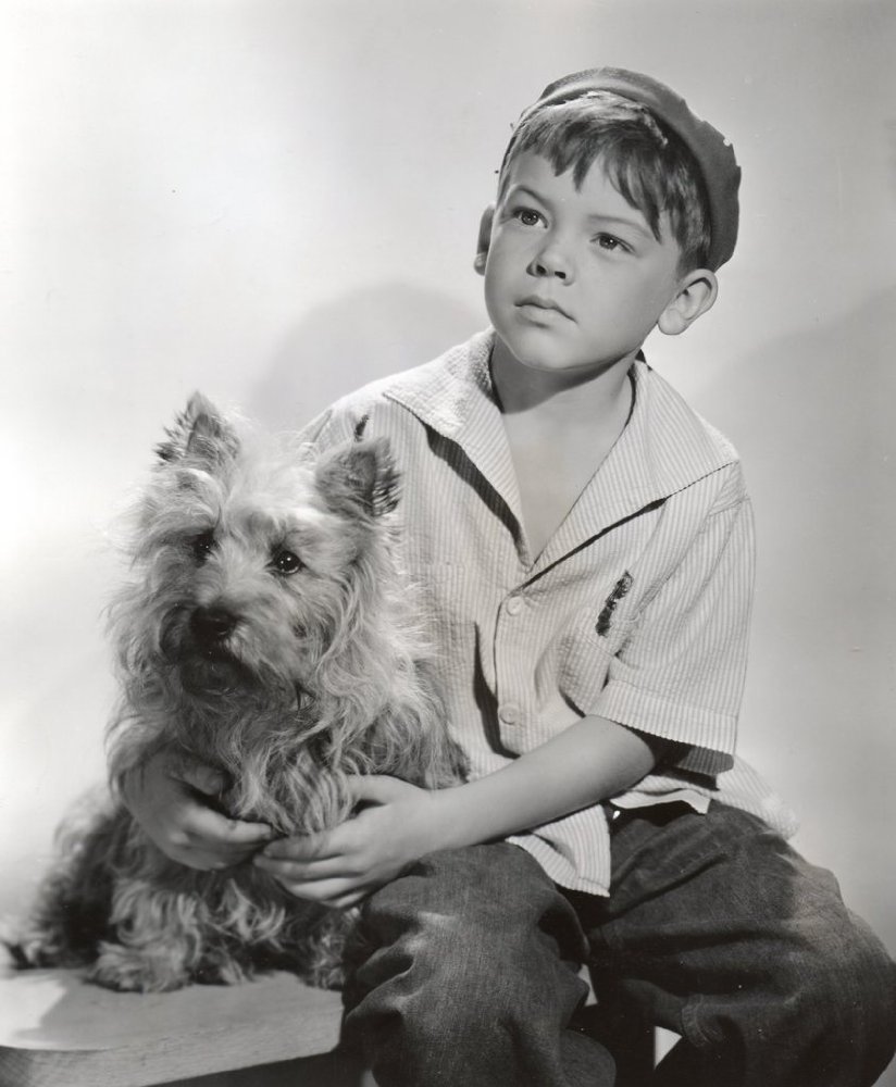 Bobby Driscoll