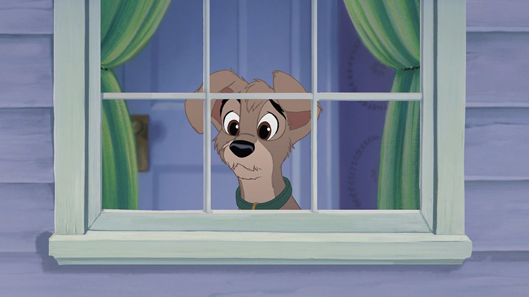 Scamp