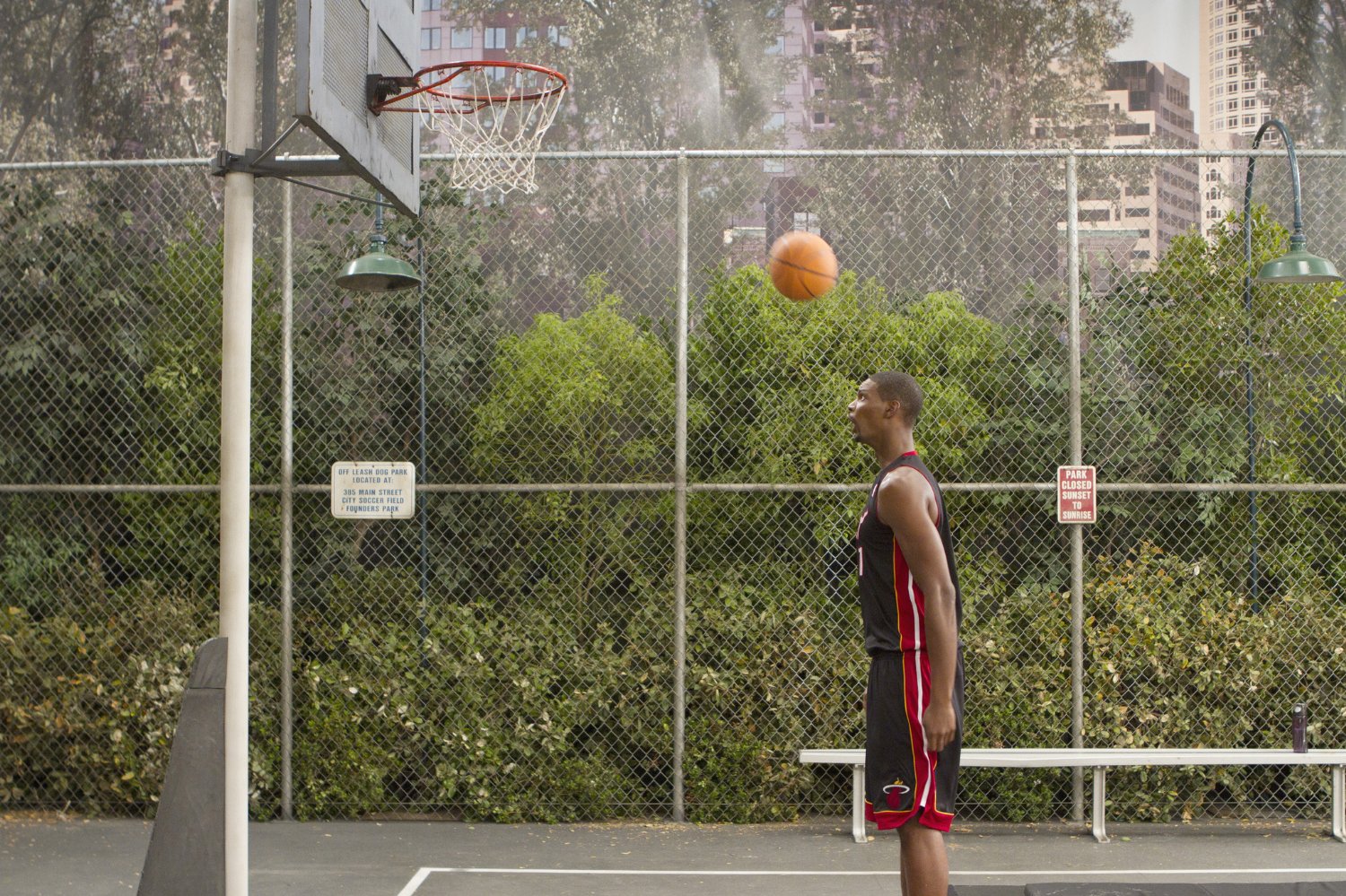 Chris Bosh