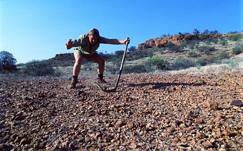 Steve Irwin