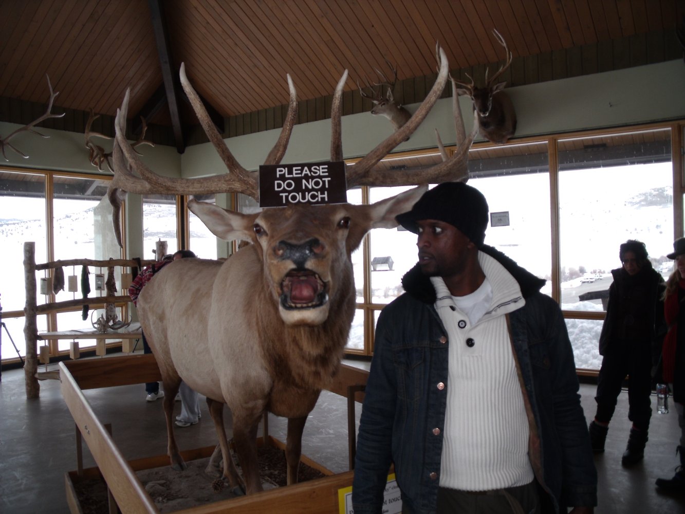 Peter Bankole