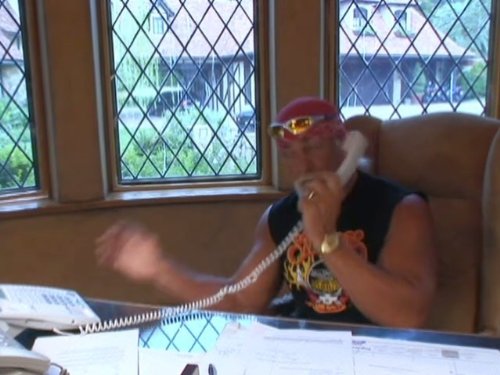 Hulk Hogan