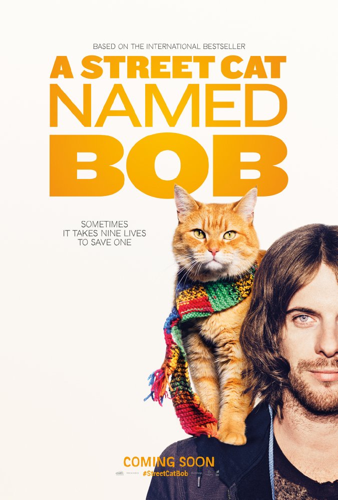 Bob the Cat